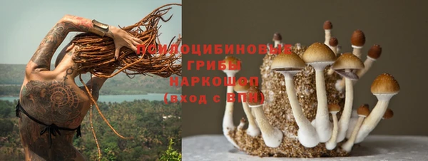 гидра Белоозёрский