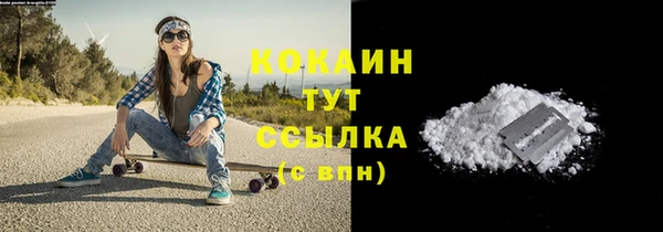 гидра Белоозёрский