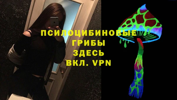 гидра Белоозёрский